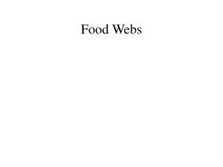 Food Webs